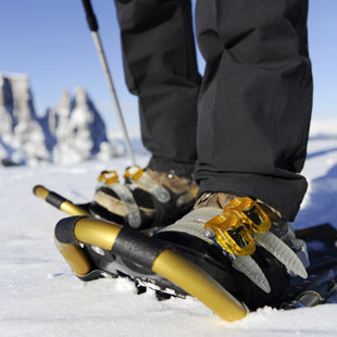 snowshoes-appartements-berfrieden-siusi_allo_sciliar-south_tyrol