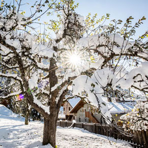 Winter Appartement Bergfrieden