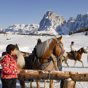 cavalli-appartements-berfrieden-siusi_allo_sciliar-alto_adige